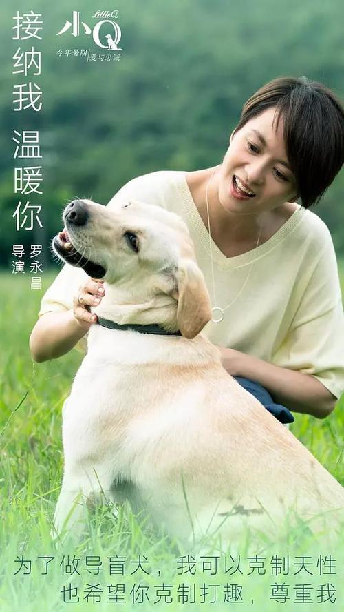 韩国韩国湖南大学毕业证电子图
